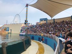 -秦皇岛乐岛海洋王国