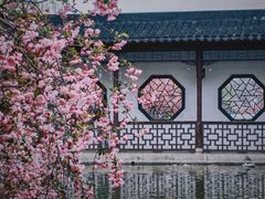 -莫愁湖公园