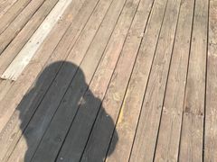 -红海滩国家风景廊道