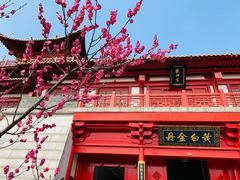 -茅山东方盐湖城景区