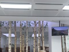 -极简口腔(总院)