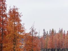 -白鹭湾湿地公园