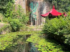 -莫干山风景区