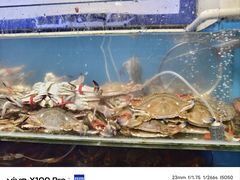 -仙螺岛海鲜自助餐厅(总店)