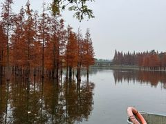 -白鹭湾湿地公园