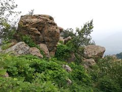 -北京鹫峰国家森林公园