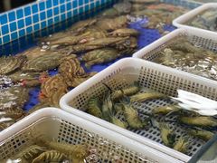 水产区-福禧荟·海鲜自助