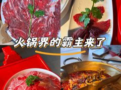 -小龙翻大江文化火锅(宽窄店)