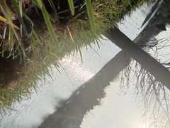 -贵阳市花溪国家城市湿地公园