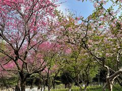-白塘生态植物园