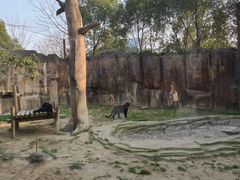 -杭州野生动物世界