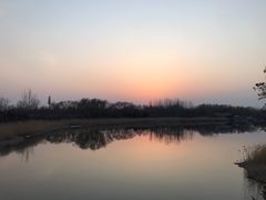 -大兴滨河森林公园