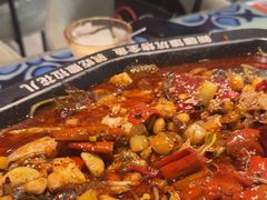 -撒拉花儿·新疆菜·清真(太阳宫店)