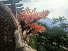 -野三坡刘家河高山漂流