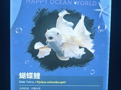 -重庆欢乐海底世界
