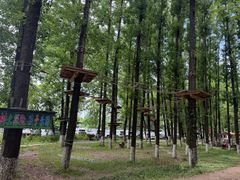 -林间山庄