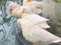 -洛阳龙门海洋馆