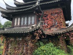 -韩湘水博园