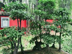 -成都武侯祠博物馆