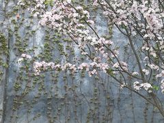 -山东师范大学(千佛山校区)