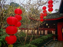 -峨眉山报国寺