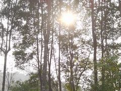 -重庆彩云湖湿地公园
