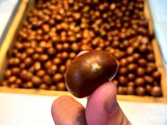 -阿男野栗王(金门路店)