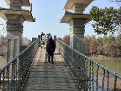 -东湖落雁景区