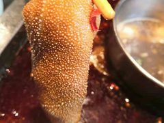 -蜀江龙火锅(339店)