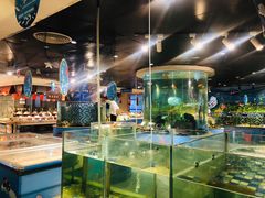 -东营蓝海御华大饭店渔歌舫(潍河路店)