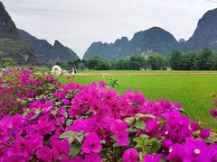 -明仕田园