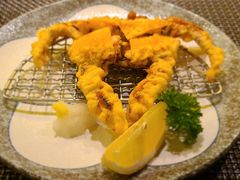 软壳蟹-武藏日本料理(宝安壹方城店)
