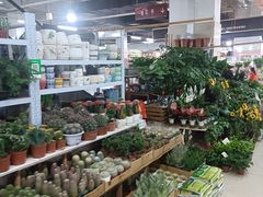 -无锡文化工艺品市场(槐古路店)