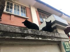 -老味道(田子坊店)