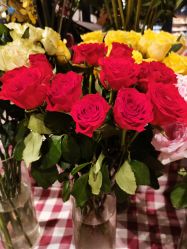 -艾米婚纱&婚礼策划