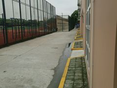 游泳馆外面-七宝中学游泳馆