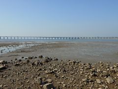 -宝安西湾红树林湿地公园