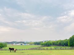 -广州市流溪河国家森林公园