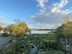 -长春市南湖公园