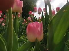 -长春公园(普阳街道)