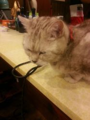 -TWOFACE双面理发馆