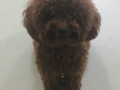 -中田健身工作室(中针商务店)