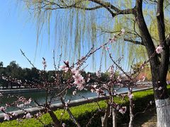 -东华门大街小区