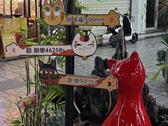 -猫咪博物馆(顶澳仔猫街店)