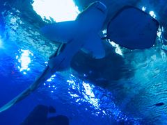 -波塞冬旅游度假区