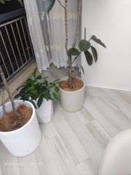 -HEYAN荷妍专业脱毛连锁机构