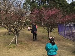 -宁波儿童公园(鄞州区)