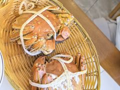 -蟹天蟹地农家菜·阳澄湖大闸蟹(浅水湾店)