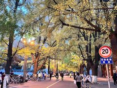 -四川大学(华西校区)