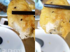 -海中洲渔社